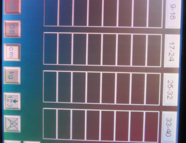 Chainmaster ProTouch StageOperator BGV C1