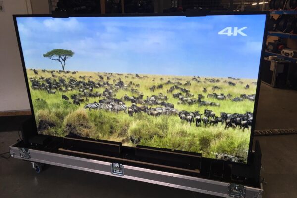 NFC X981 - MP Music Vermietung